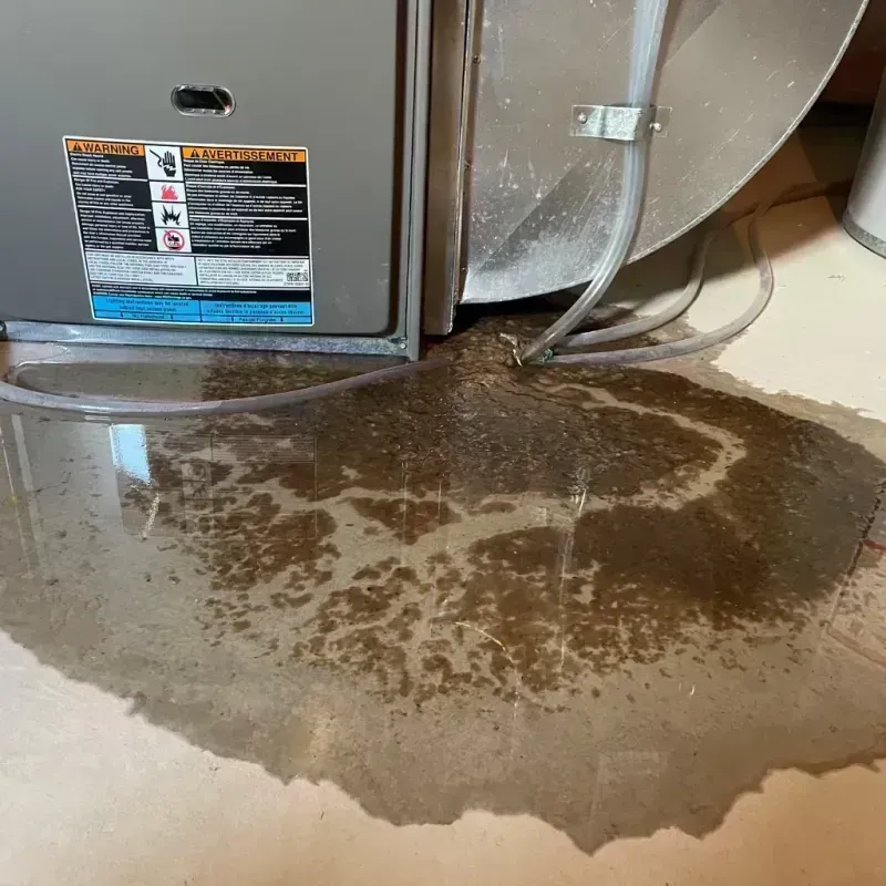 Appliance Leak Cleanup in Knoxville, IL